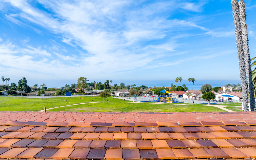 Using Drones to Visualize Views in Early Design Stages